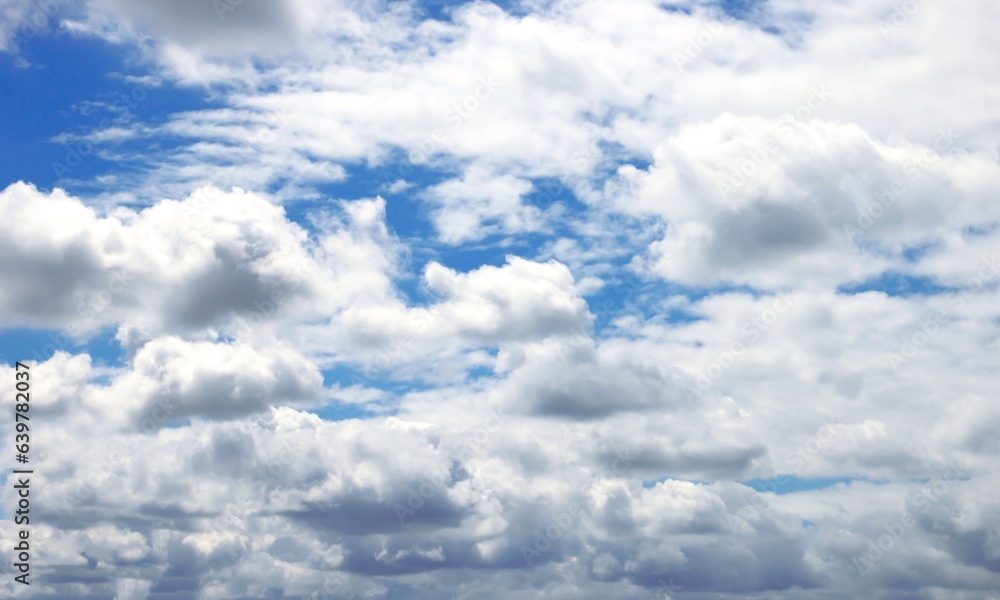 Fototapeta premium Untitled design - 1