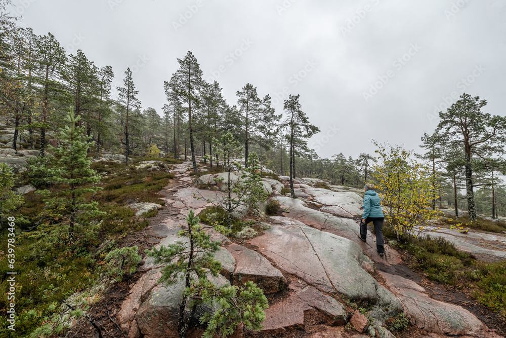 hiking footpath in forest between trees in Skuleskogen National Park in Sweden in northern Europe Hoga Kusten