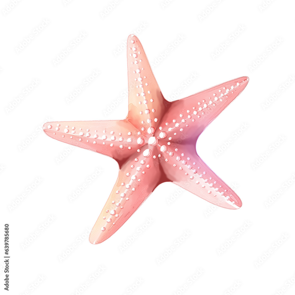 watercolor Starfish illustration watercolor Starfish illustration