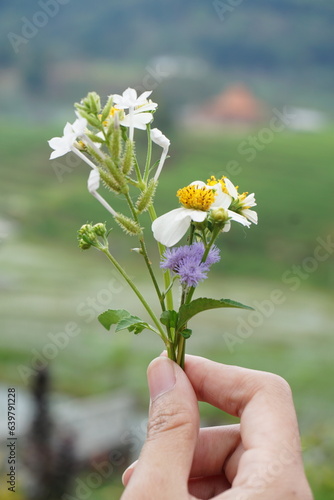 a woman's hand holding a flower arrangement