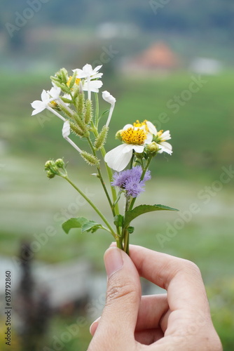 a woman's hand holding a flower arrangement