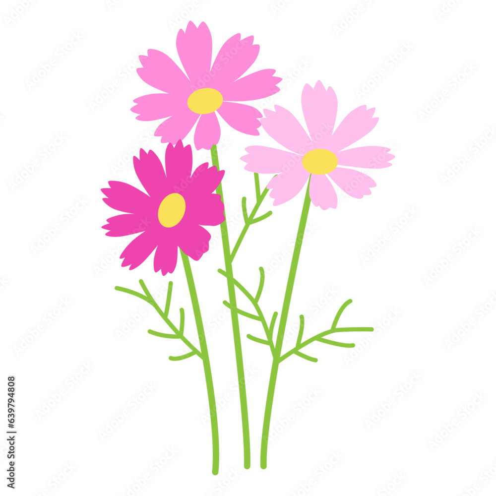Fototapeta premium コスモスのベクターイラスト