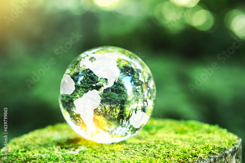 Globe Glass on green Moss in forest Environment  save world  earth day and conservation Concept.