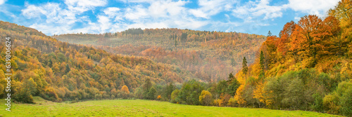 autumn landscape panorama. green glade in front of an autumn forest, trees covered with yellow-orange leaves in the morning rays of the sun.