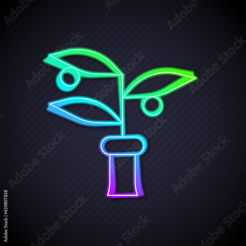 Glowing neon line Plant breeding icon isolated on black background. Plants growing in the test tubes. Organic food ,agriculture and hydroponic. Vector
