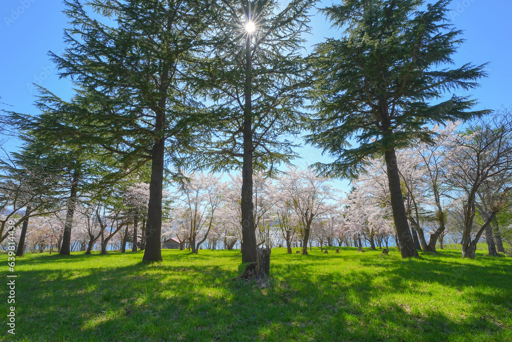 Obraz premium 烏帽子岩公園