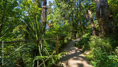 Lost Gardens of Heligan