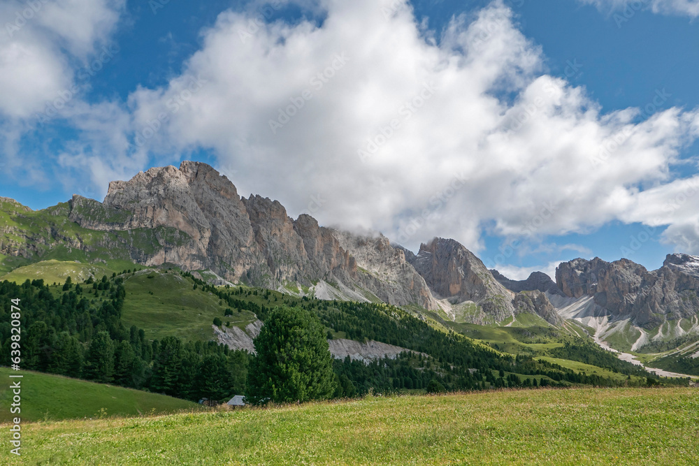 Fototapeta premium wonderful and relaxing dolomite mountain panorama in south tyrol in summer