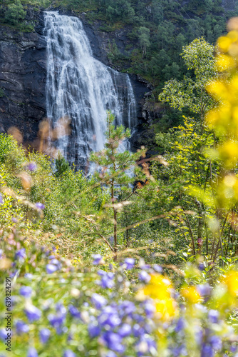 Obraz na płótnie Waterfall w salonie