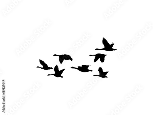 Flying Canada Geese Silhouette. Canada Goose. Group Of Canada Geese Silhouette.