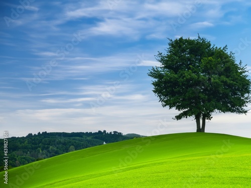 solitary tree on rolling green hills