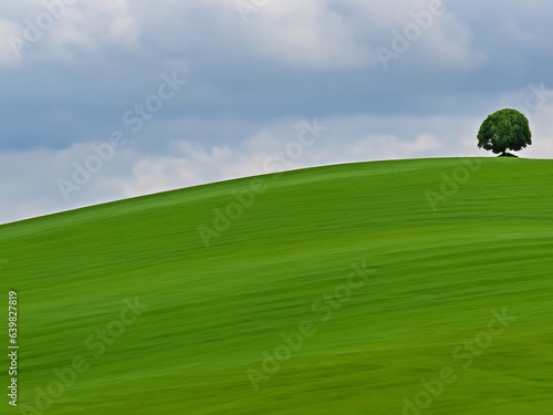 solitary tree on rolling green hills © Ulrich