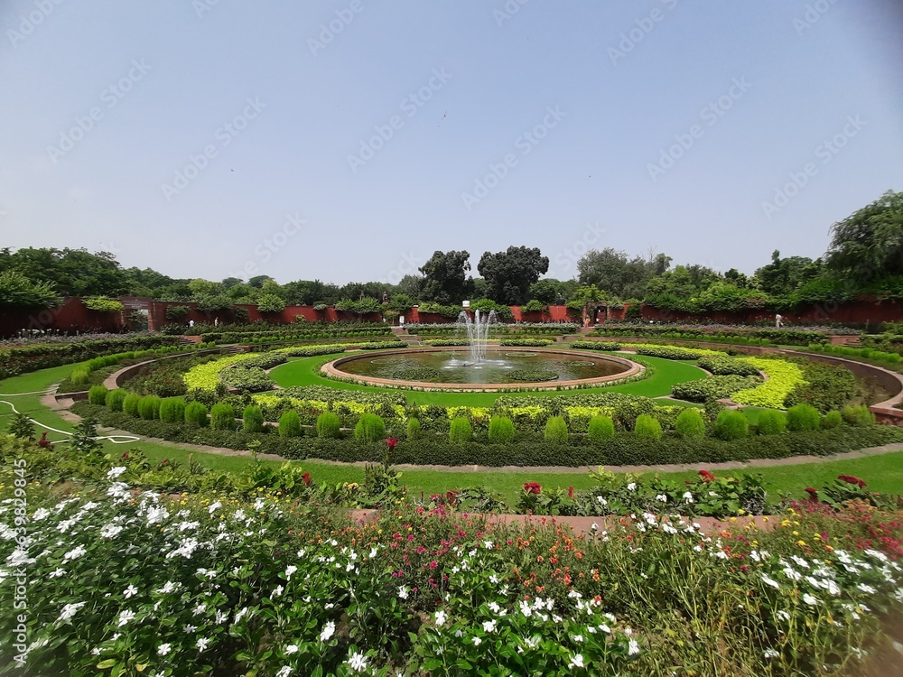 fountain in the park, with all kinds of plants and trees fountain in the park, with all kinds of plants and trees
