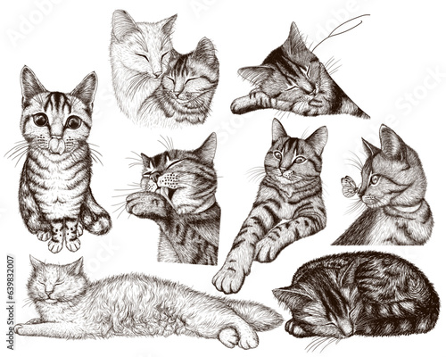 Vetor set of 9 different cats in the style of engraving