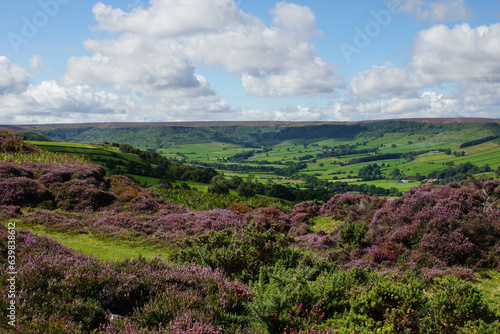 Glaisdale Moor, Glaisdale, North York Moors, North Yorkshire, England photo