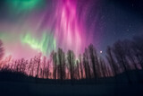 Grandangolo aurora boreale