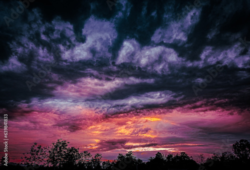 sunset in the forest