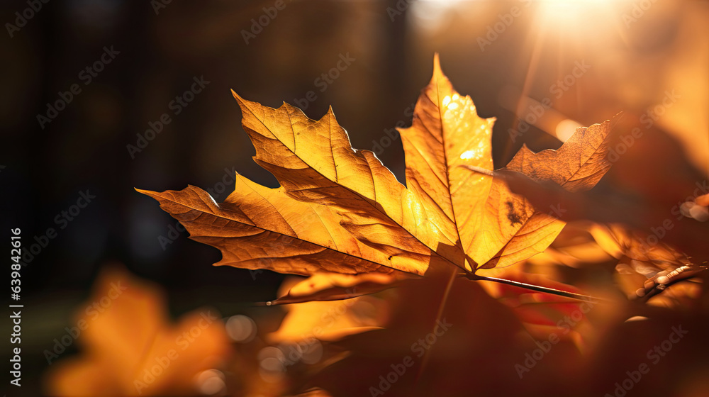 Autumn leaves on the sun and blurred trees for fall background. Generative Ai
