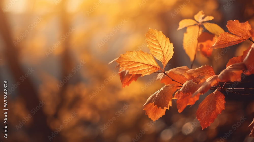 Autumn leaves on the sun and blurred trees for fall background. Generative Ai Autumn leaves on the sun and blurred trees for fall background. Generative Ai
