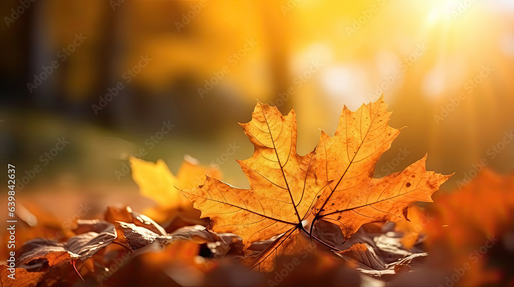 Autumn leaves on the sun and blurred trees for fall background. Generative Ai Autumn leaves on the sun and blurred trees for fall background. Generative Ai