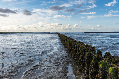 Wattenmeer