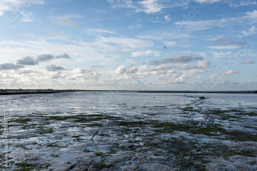 Wattenmeer