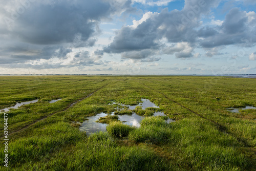 Wattenmeer