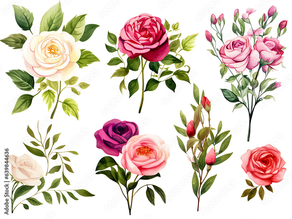 Fototapeta premium Colorful rose flower pattern on white background