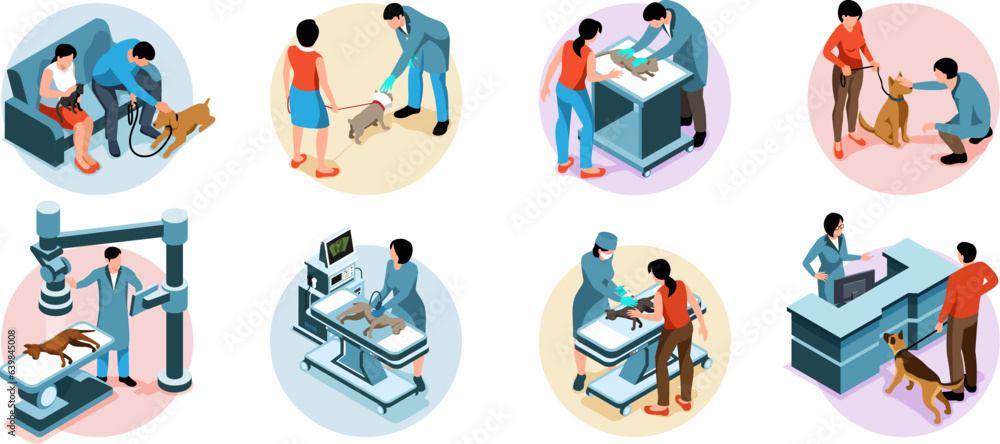 Fototapeta premium Veterinary Isometric Compositions Set