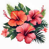 Arrangement of Hibiscus dlowers on white background