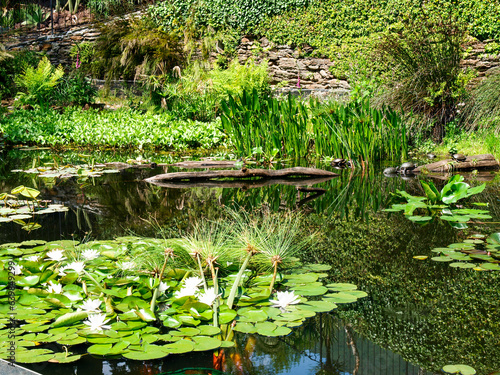 botanical island with flowers and natural park