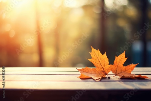Autumn leaves  banner  copyspace  golden autumn maple