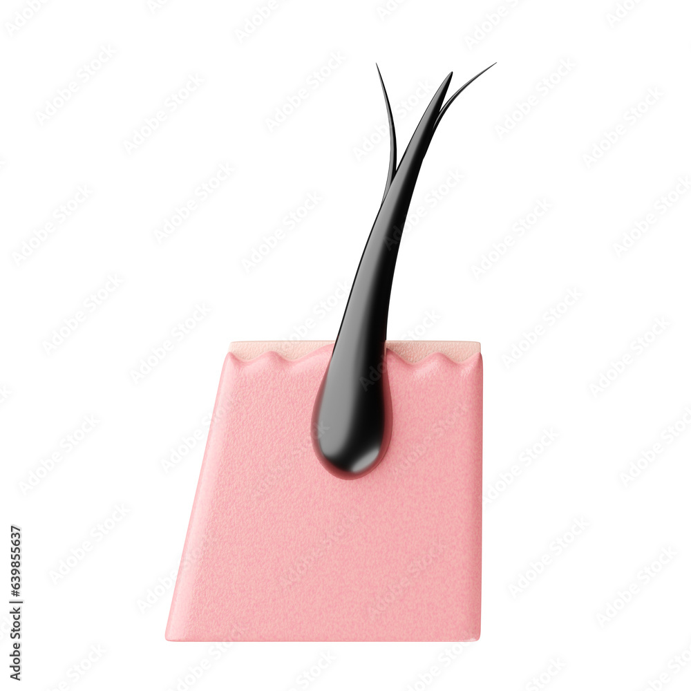 Split ends hair and skin layer 3D rendering. Split ends hair and skin layer 3D rendering.
