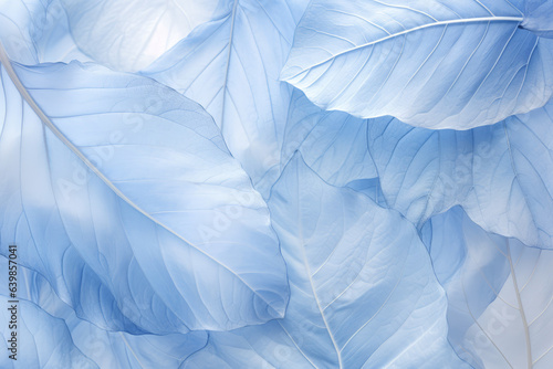 Wallpaper Mural Blue pale leaf wallpaper in soft light, background, wallpaper Torontodigital.ca