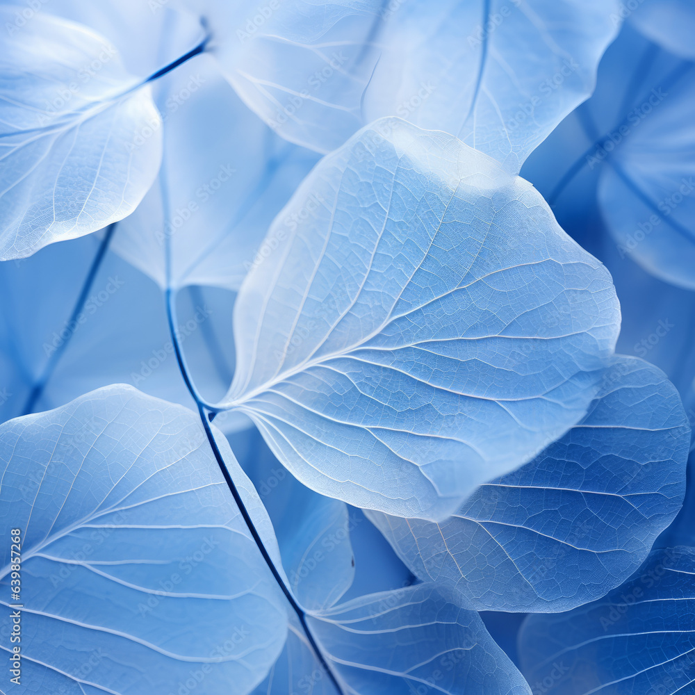 Obraz premium Blue pale leaf wallpaper in soft light, background, wallpaper