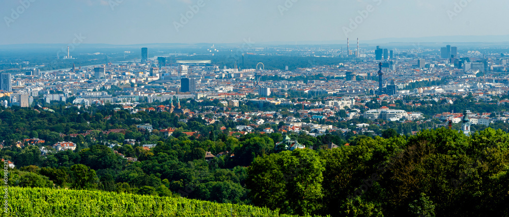 View from the top, European city of Vienna, panorama from the top