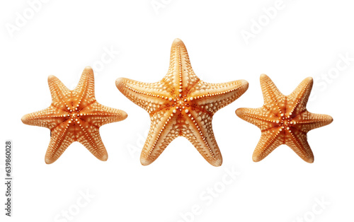Starfish isolated on transparent background, Generative Ai