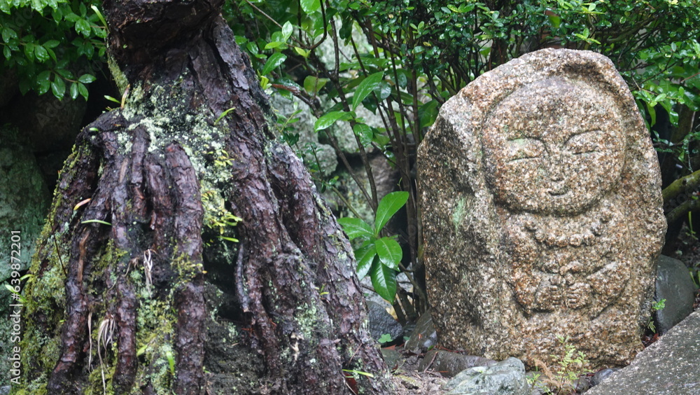 京都雨の寺