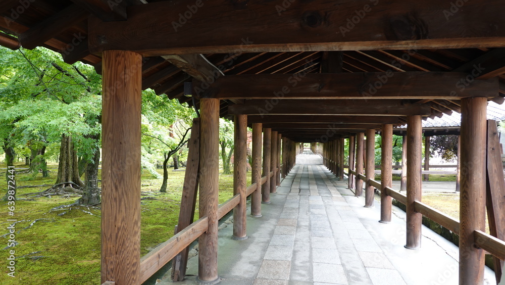 京都雨の寺