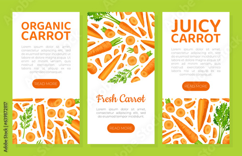 Bright Carrot Vegetable and Crop Banner Design Vector Template