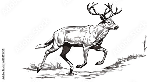  Witness the Graceful Elegance of a Running Deer in Exquisite Detail