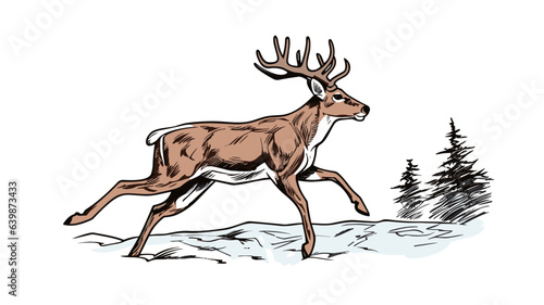  Witness the Graceful Elegance of a Running Deer in Exquisite Detail