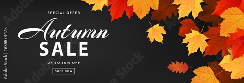 Autumn sale banner. Autumn leaves background for promotion, special offer. Advertising poster, shopping website template. Vector illustration