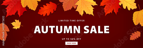 Autumn sale banner. Autumn leaves background for promotion, special offer. Advertising poster, shopping website template. Vector illustration