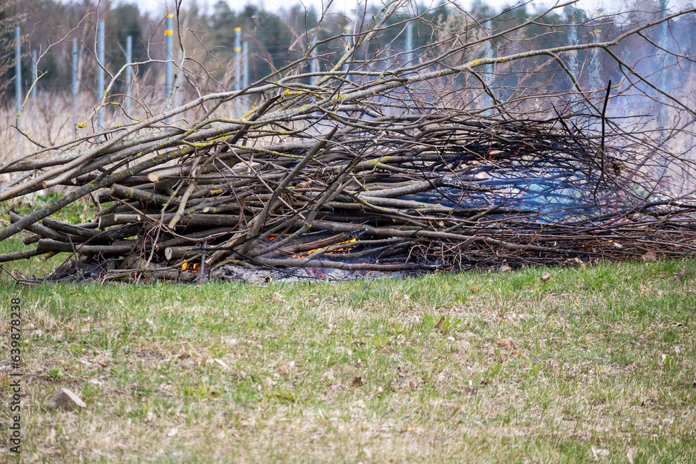 A lit pile of branches at the edge of the forest A lit pile of branches at the edge of the forest