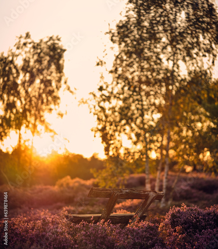 Sonnenbank