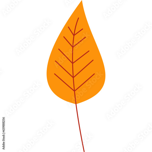 Autumn Leaf