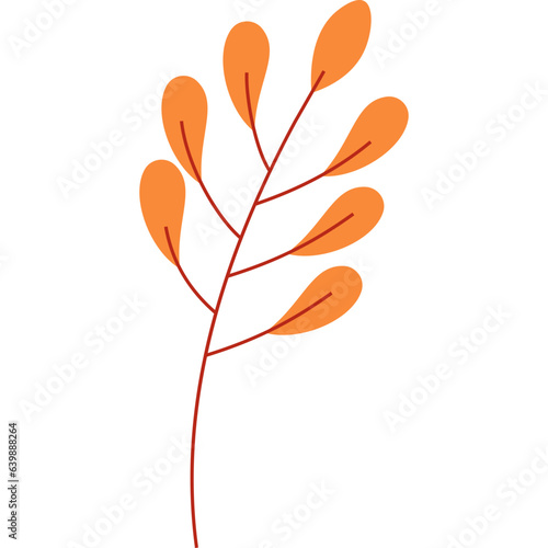 Autumn Leaf