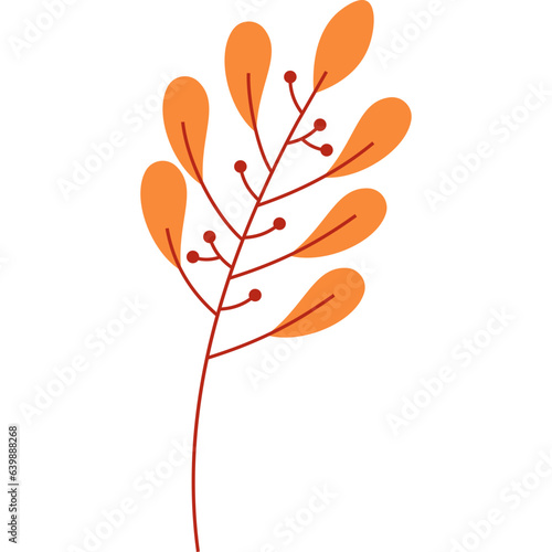 Autumn Leaf
