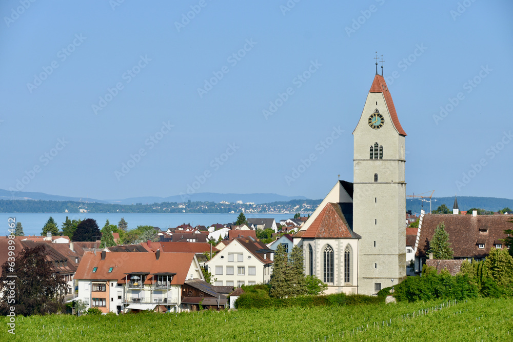 Fototapeta premium Village of Hagnau, Germany on Lake Constance